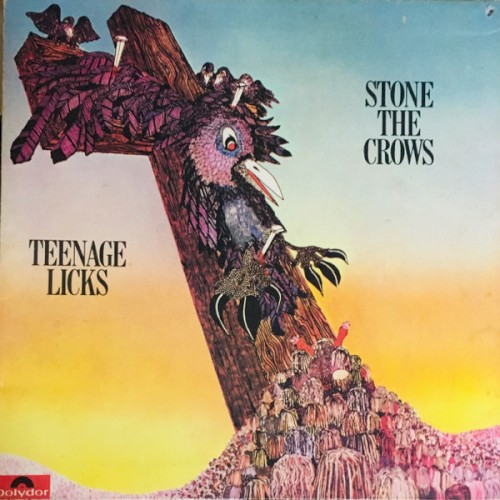 Teenage Licks封面