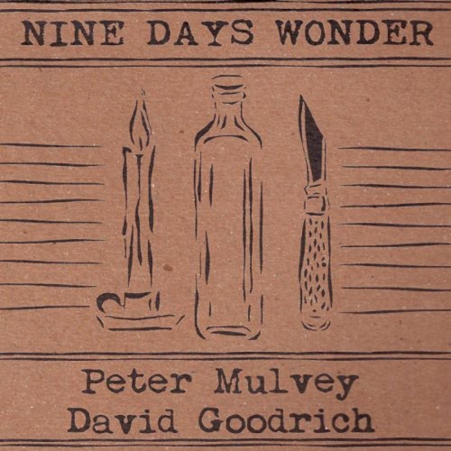 Nine Days Wonder封面