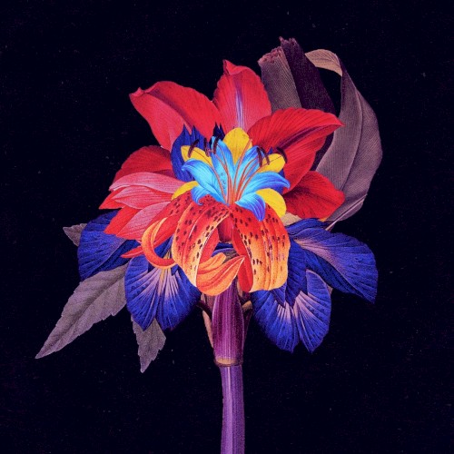 Nervous Tics (Maceo Plex remix)封面