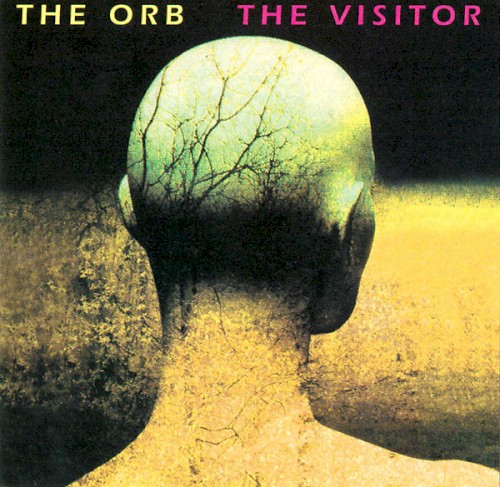 The Visitor封面