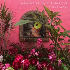 Waking Up in Los Angeles封面