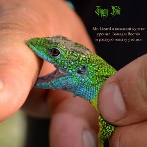 Mr. Lizard в кожаной куртке уронил запад и восток и ржавую лопату утопил封面