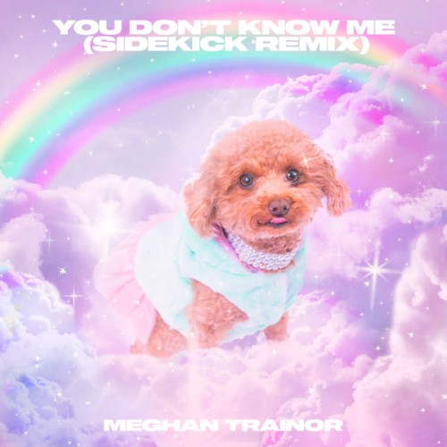 You Don't Know Me (Sidekick remix)封面