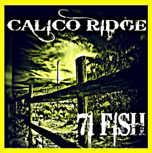 Calico Ridge封面