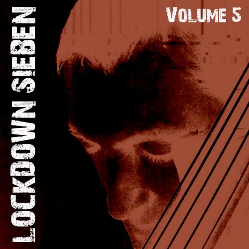 Lockdown Sieben, Volume 5封面