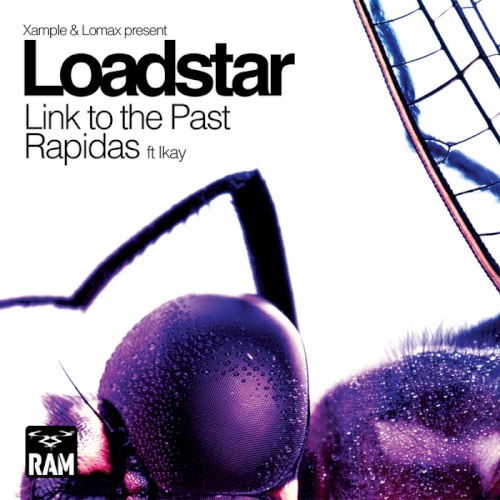 Link to the Past / Rapidas封面