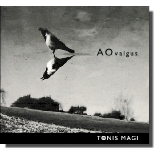 AOvalgus封面
