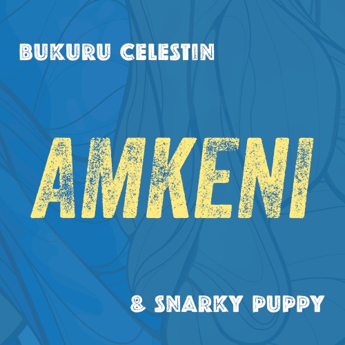 Amkeni封面