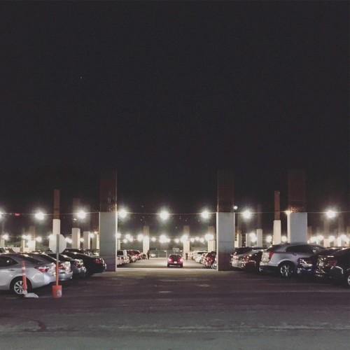 apathy.封面