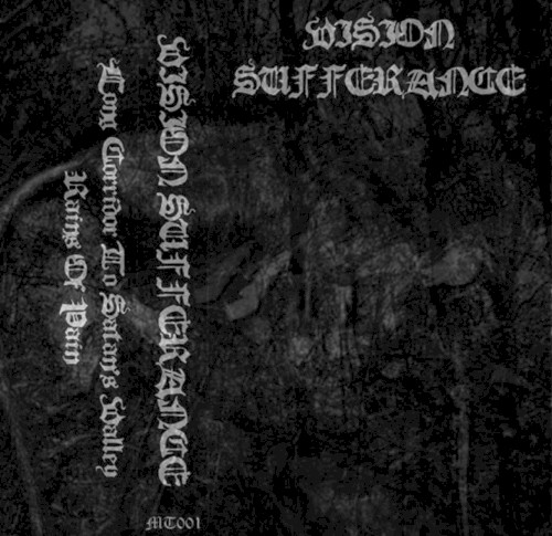 Vision Sufferance封面