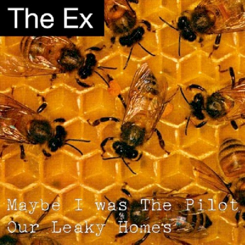 Maybe I Was the Pilot / Our Leaky Homes封面