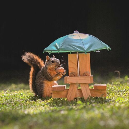 Squirrel Tape Instrumentals, Vol. 3封面