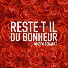 Reste-t-il du bonheur封面
