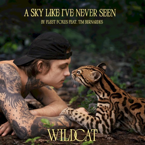 A Sky Like I’ve Never Seen (From the Amazon Original Movie “Wildcat”)封面