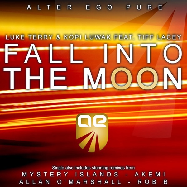 Fall Into The Moon封面