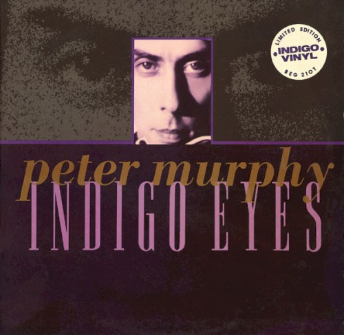 Indigo Eyes封面