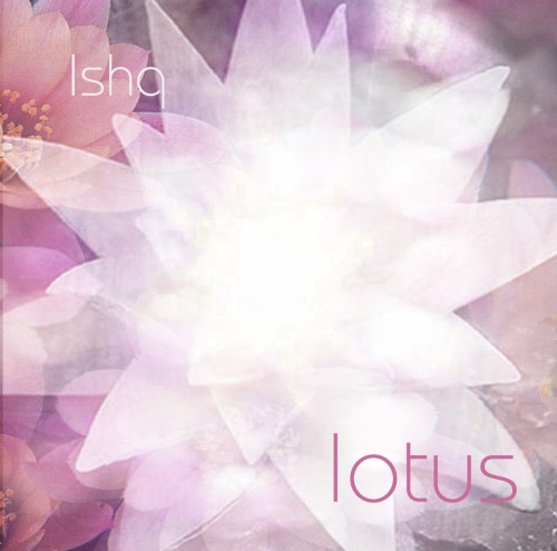 Lotus封面