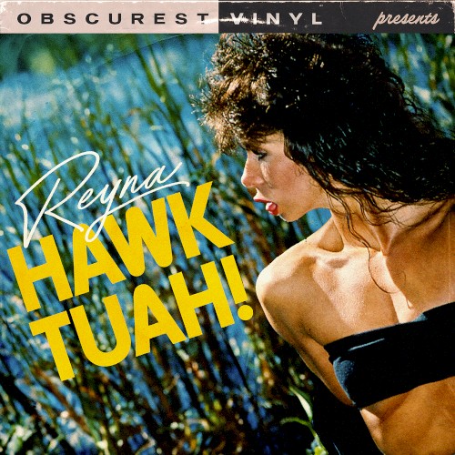 Hawk Tuah!封面