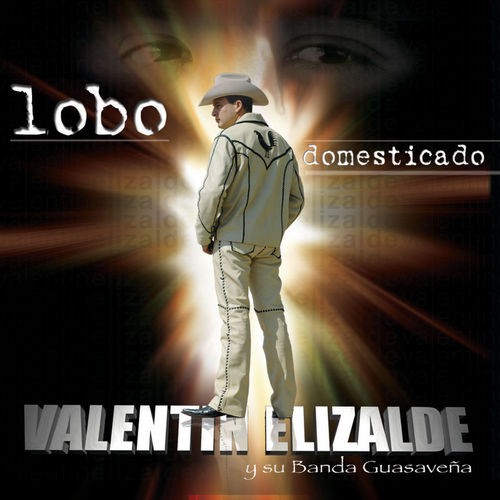Lobo domesticado封面