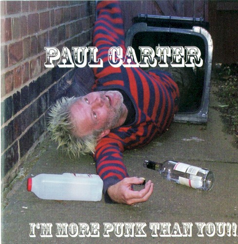 I'm More Punk Than You封面