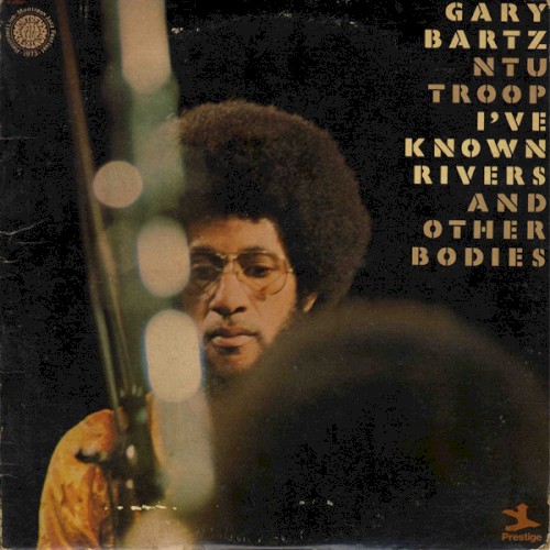 I've Known Rivers and Other Bodies封面