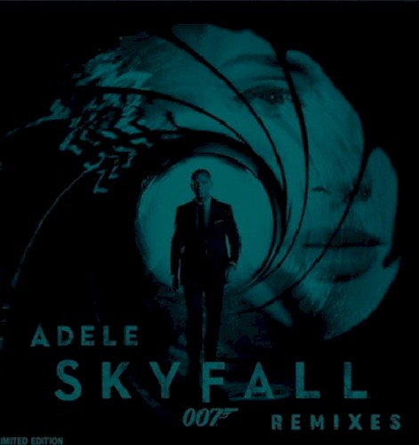 Skyfall (remixes)封面