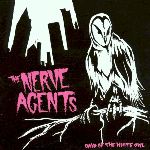 Days of the White Owl封面
