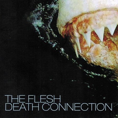 Death Connection封面