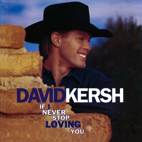 If I Never Stop Loving You封面