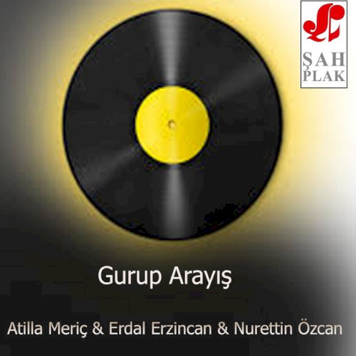 Gurup Arayış封面
