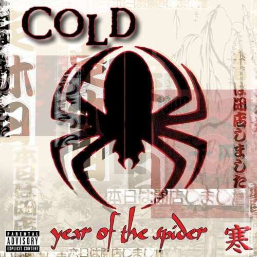 Year of the Spider封面