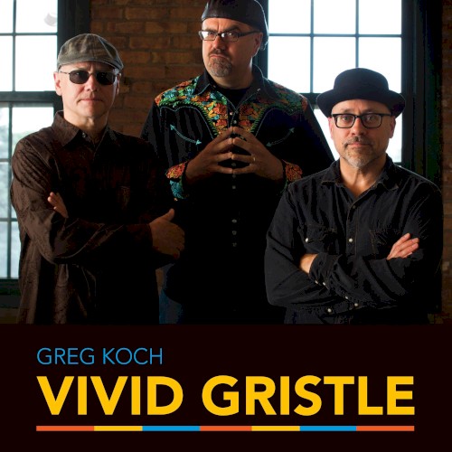 Vivid Gristle封面