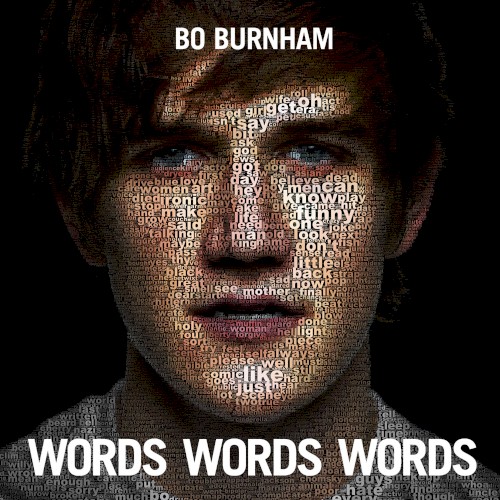 Words Words Words封面