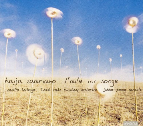 L'aile du songe封面