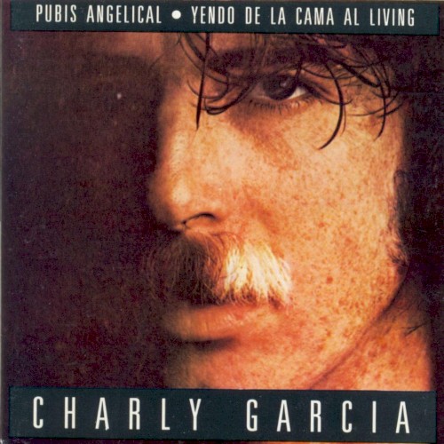 Pubis angelical / Yendo de la cama al living封面
