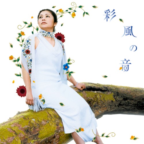彩風の音封面