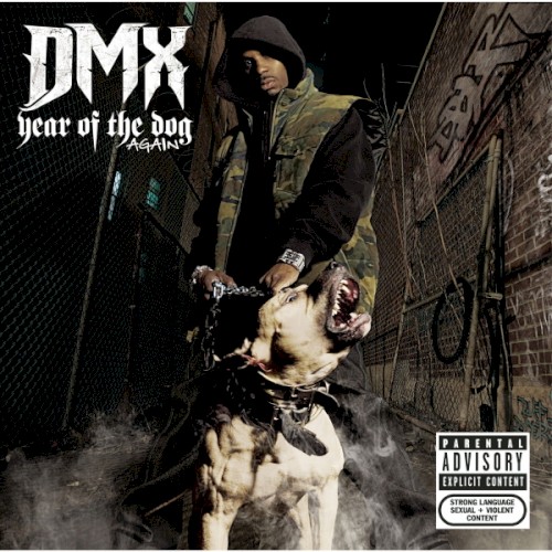 Year of the Dog… Again封面