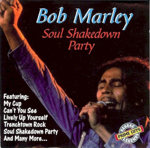 Soul Shakedown Party封面