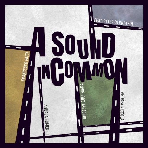 A Sound in Common封面