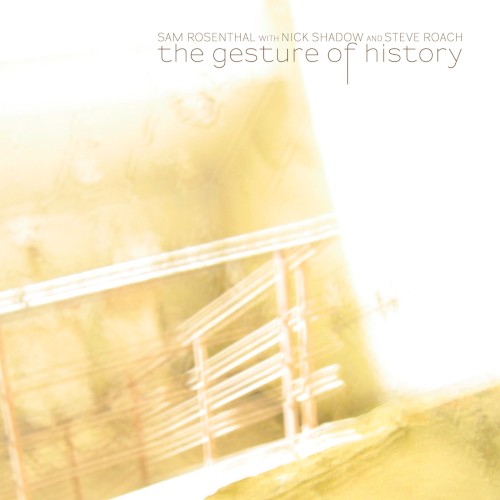 The Gesture of History封面