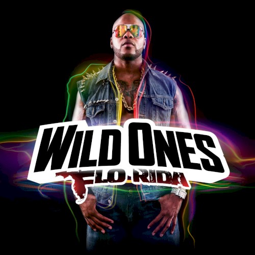 Wild Ones封面