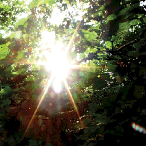 Summer Light封面