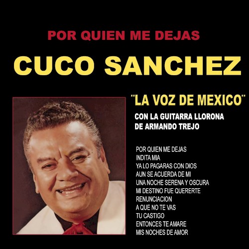¿Por quién me dejas?封面