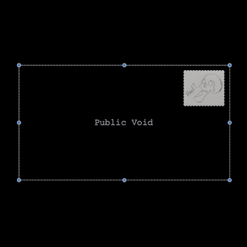 Public Void封面