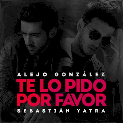 Te lo pido por favor封面