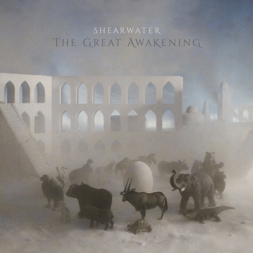 The Great Awakening封面