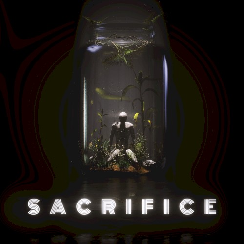 Sacrifice (ST mix)封面