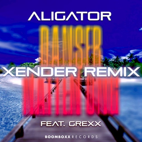Danser Natten Ung (Xender Remix)封面