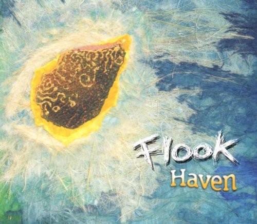 Haven封面
