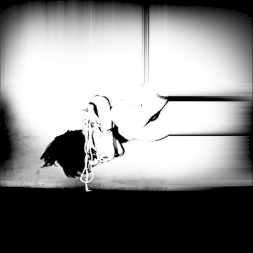 Anti-Social Media Massacre封面